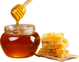 Мед липовый - полезные свойства и противопоказания