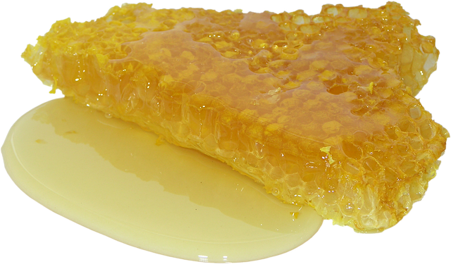 Как проверить качество мёда (фото)