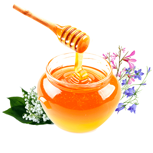 Полезные свойства шалфейного мёда